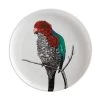 Marini Ferlazzo Birds Plate 20cm Australian King Parrot -The Galley store dx0596
