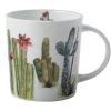 Royal Botanic Garden Arid Garden Mug 300ML Saguaro Gift Boxed -The Galley store jy0001