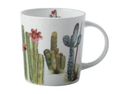 Royal Botanic Garden Arid Garden Mug 300ML Saguaro Gift Boxed -The Galley store jy0001 1