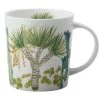Royal Botanic Garden Arid Garden Mug 300ML Dracaena Gift Boxed 1 Royal Botanic Garden Arid Garden Mug 300ML Dracaena Gift Boxed -The Galley store jy0003